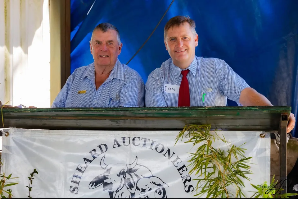 The Sheard auction team at the rostrum