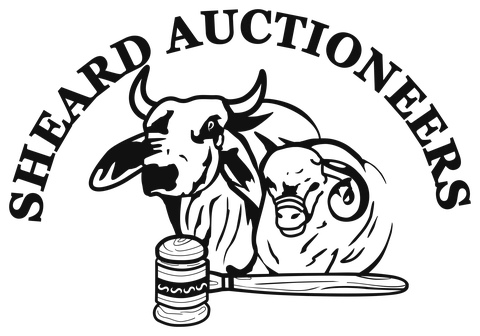 Sheard Auctioneers