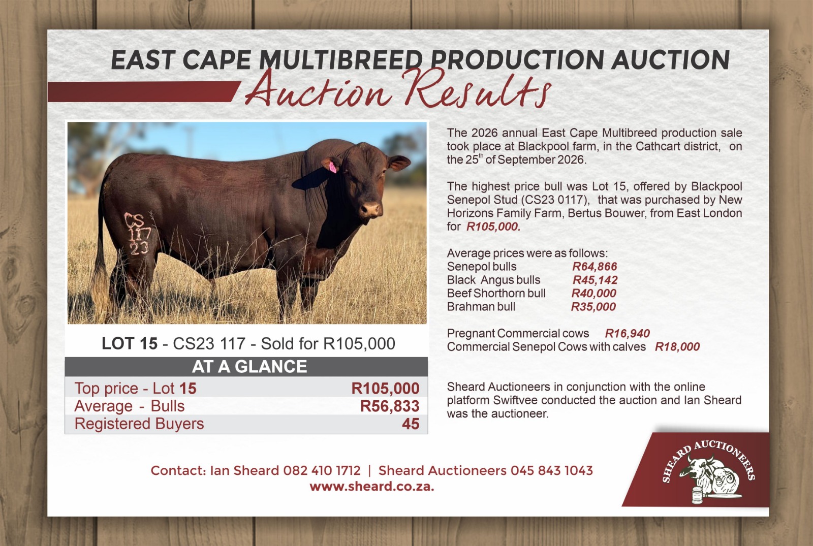 Poster for EASTERN CAPE MULTIBREED SALE REPORT